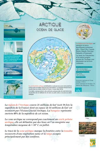 Arctique et antarctique.jpg